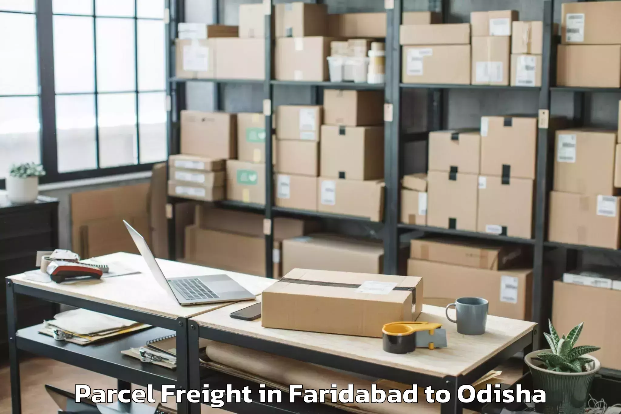 Efficient Faridabad to Chhendipada Parcel Freight